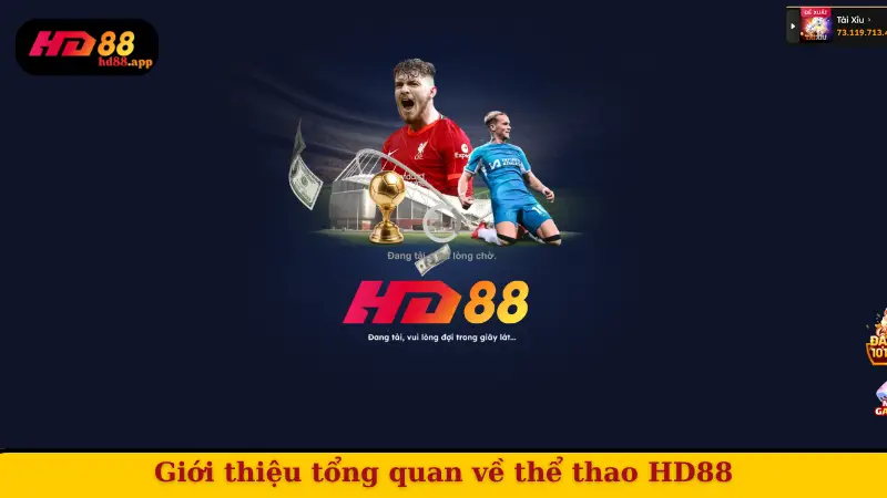 Giới thiệu tổng quan về thể thao HD88