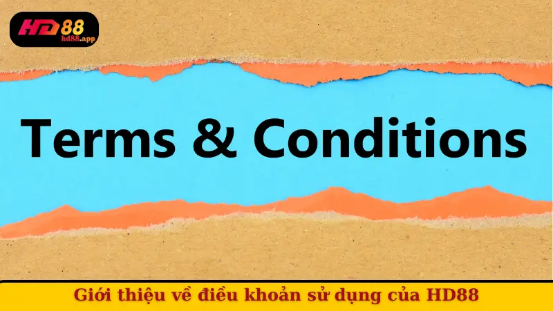 Giới thiệu về điều khoản sử dụng của HD88