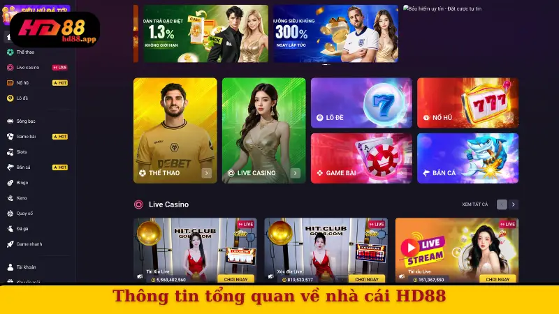 Thông tin tổng quan về nhà cái HD88